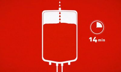 blood donors