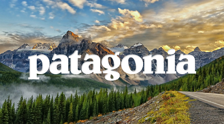 patagonia inspirational brands