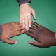 Hands of all different skin colors on green background representing Starbucks' D&I.