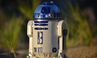 Close of R2D2 toy, an example of robots that we root for, but why?