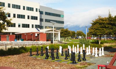Google complex with human sized chessboard, where a labor union has been formed.