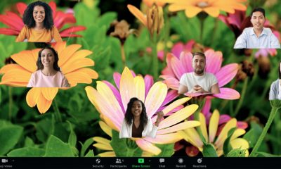 Zoom's new Immersive View allows users to be creative and place participants on landscapes, like this field of flowers.
