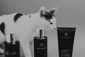 Black and white photo with black and white cat behind 3 Monat products.