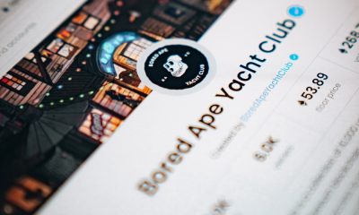 Bored Ape Yacht Club NFT on social media, showing the profile picture.
