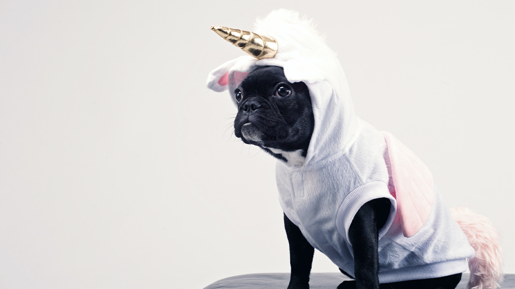 A black pug sits on a small seat in a unicorn onesie.