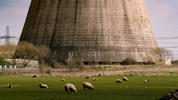 The base of a nuclear reactor and large power plant with sheep grazing in a field nearby.