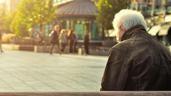 The back view of an older man with white hair on a bench, looking out at a park with the sun setting overhead. Age discrimination lead here despite the peace.
