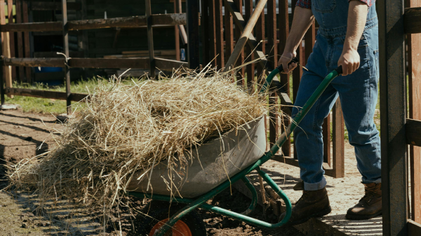 A person rolling out a wheelbarrow full of hay for animals for fair wages.
